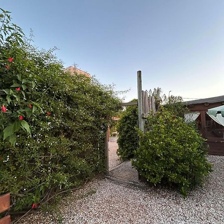 Posada Cova Del Sol La Pedrera Dış mekan fotoğraf