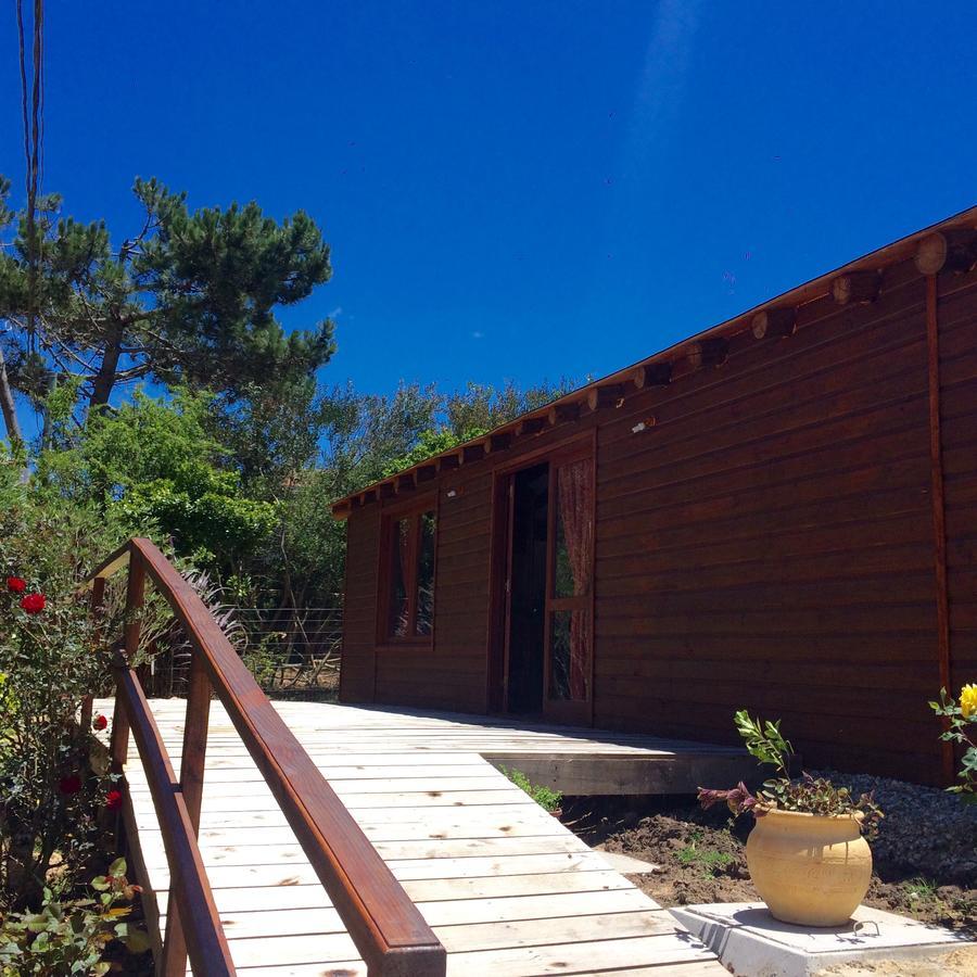 Posada Cova Del Sol La Pedrera Dış mekan fotoğraf